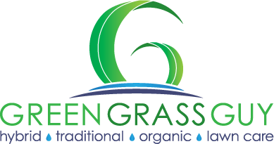 Green Grass Guy